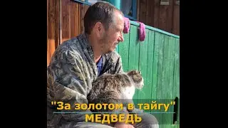 Медведь не выпустил из дома #shorts