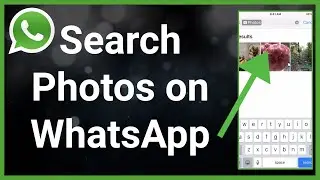 How To Search Photos On WhatsApp