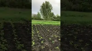 Загородная жизнь на природе