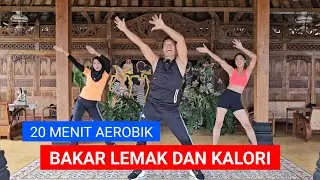 SENAM AEROBIK HANYA 20 MENIT BIKIN GOBYOS | COCOK UNTUK PEMULA