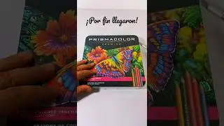 Unboxing | Lápices de colores Prismacolor Premier #Shorts #dibujo #prismacolor #lápicesdecolores