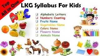 Preschool Complete Course| Learn ABCs, Colors, 123s, Phonics, Counting, Numbers, Animals, Birds etc.
