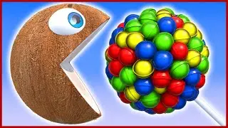 Pacman Coconut Kid on Pirate Islands Finds Animal Friends and Rolling Around
