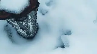 Я на даче