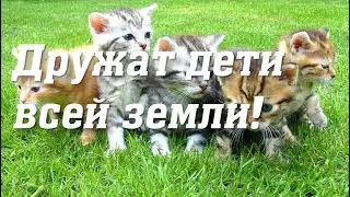 Дружат дети всей земли! Праздничный концерт для всех групп 🎶