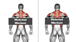 Back Muscle Exercises to Increase Back Width Quickly