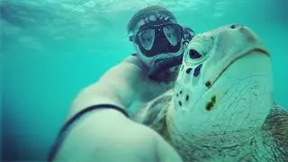 Rode The Back of A Sea Turtle While Taking Selfies With Him! (Barcelo Maya Palace Mexico Vlog)