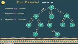 شرح ال Binary Tree Traversal || Preorder || Inorder || Postorder