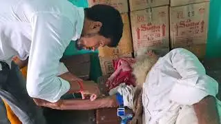 Aaj baba ko #injection  #injection #doctor #shortvideo