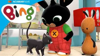 Bing sangat sayang kucing Arlo! | Bing Bahasa Melayu