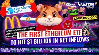 Mt. Gox shifts $700m in Bitcoin, Ethereum ETF hits $1b, Terraform Labs update ⚡️ Hamster News