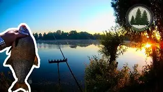 Рыбалка на Москве-реке. Ловля леща на фидер. | Bream fishing on the feeder.