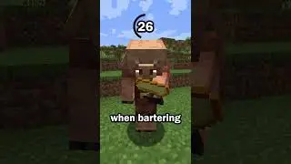Guess the Minecraft item in 60 seconds 4