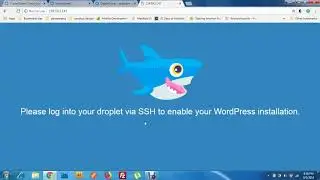 Quickly host Wordpress on Digitalocean without Domain name under 5 minutes