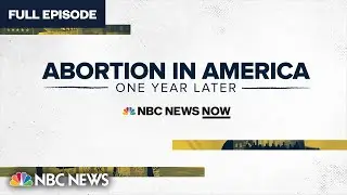 Abortion In America: One Year Later