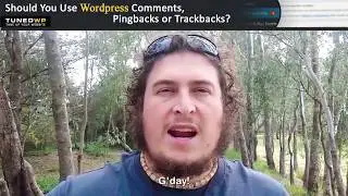 Should You Use Wordpress Comments, Pingbacks or Trackbacks?