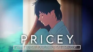 Pricey - I Want To Eat Your Pancreas Amv/Edit To be continued...