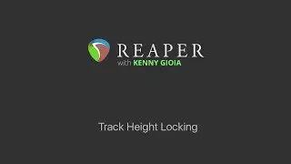 Track Height Locking in REAPER