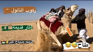 # فلوق (79) رحله صباحيه في رملة نجران عند عزبة الابل🐪🏖️