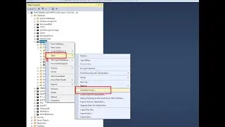 [SQLSERVER] How to generate script sql from SMSS