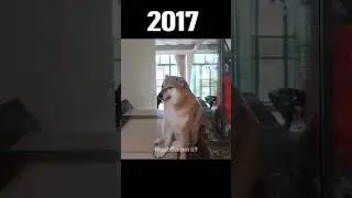 Memes Then Vs Now 😢 (2023) #shorts #memes #meme #now #doge