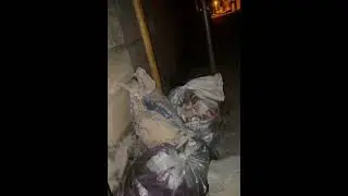 Хасбик негодует