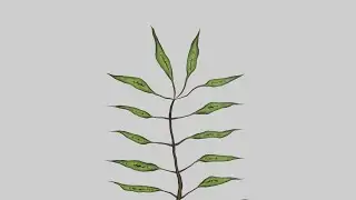 Procedural Nodes (part 59) - Procedural Twig with Leaves in Blender