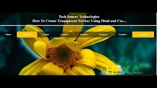 Transparent Navbar Using Html and Css | Navbar With Transparent Background using Html Css