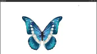 How to animate a butterfly - Animate cc - Learn animation