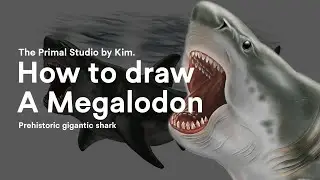 How To Draw A Megalodon Shark