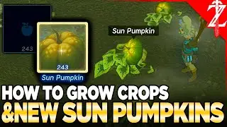 NEW CROP Sun Pumpkin & Growing Crops in Tears of the Kingdom