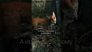 🦊 Эти ЖИВОТНЫЕ в Skyrim ВСЕГДА ВЕДУТ к ЛУТУ