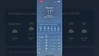 11 июня 2024 г.