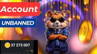 Hamster Kombat Account Unban | Hamster Kombat Wallet Disconnected | Do This Before It's Too late