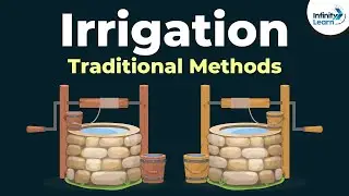 Traditional Methods of Irrigation | Crop Production and Management | Dont Memorise