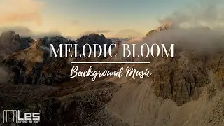 Melodic Bloom : Solo Piano Peaceful Sentimental Background Music