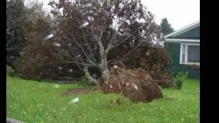 Hurricane IGOR