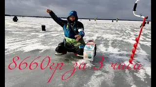 Пять рыб в минуту Чемпионат Мира со льда на мормышку Литва Шяуляй Вторая часть