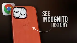 How to See Incognito History on Google Chrome on iPhone (explained)