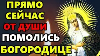 СКАЖИ СРОЧНО БОГОРОДИЦЕ В ПРАЗДНИК ЭТУ МОЛИТВУ! Молитва Богородице. Православие