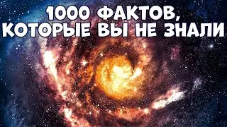 1000 НЕВЕРОЯТНЫХ ФАКТОВ, КОТОРЫЕ ВЫ НЕ ЗНАЛИ