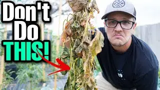 9 BEGINNER Gardening Mistakes To AVOID | Beginner Gardening Tips!