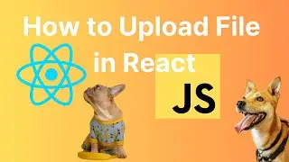 How to Upload File in React JS