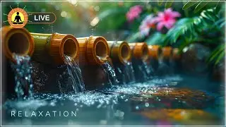 🔴 Relaxing Music 24/7, Sleep Music, Stress Relief Music, Spa, Meditation, Yoga, Zen, Flowing Stream