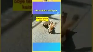 When mother with you #mother #love #care #badla #intekam #shorts #viral #trending