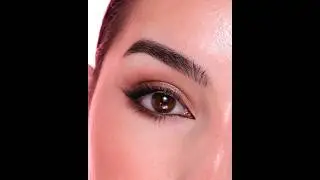 Smokey Brown eyeliner Eyeshadow tutorial 🤎🍫✨ check description for products Used 🫰