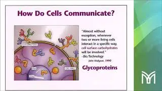 Dr. Amanda Thompson - The Wonder and Power of Mannatech Products