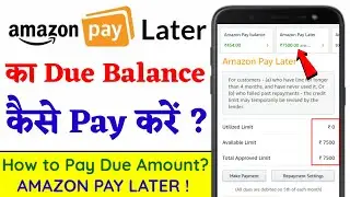 Amazon Pay Later का Due Amount Pay कैसे करें ? How to Activate Amazon Pay Later ?