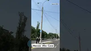 Ташкент 2024, проезжаю через спальный район.