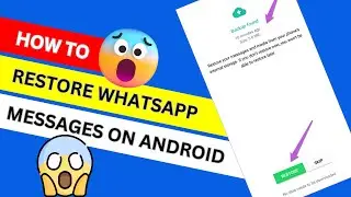 How To Restore WhatsApp Messages On Android